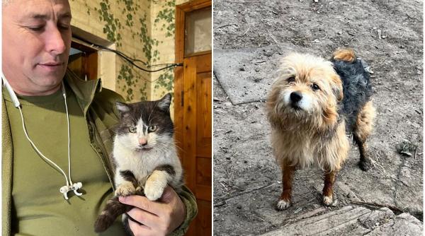 Misiune de salvare inedită în Ucraina. Pisica Barsik și cățelul Zagybluk au zburat 10 km cu o dronă ca să fie scoși din zona de război