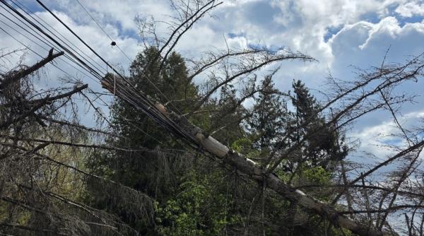 zeci de acoperisuri au fost smulse de vantul puternic sunt avarii la reteaua de energie electrica in 138 de localitati