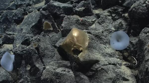 misterul sferei aurii descoperite pe fundul oceanului langa alaska a fost rezolvat dupa mai bine de doi ani