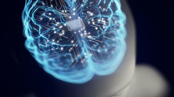 Un startup construiește primul „centru biologic de date” din lume: va combina neuroni umani crescuţi în laborator cu cipuri standard