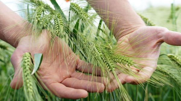 banca mondiala avertizeaza milioane de oameni risca foametea din cauza preturilor la combustibil economia globala lovita in valuri