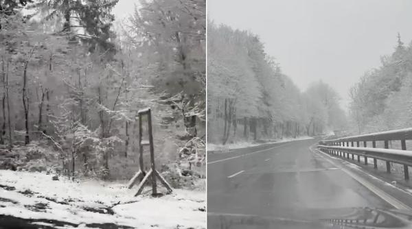 A fost cea mai friguroasă dimineață de 30 aprilie din ultimii 35 de ani în România: Lista zonelor cu recorduri și anomalii termice