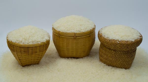 criza carburantilor ameninta productia mondiala de orez fenomenul el nino reduce si el culturile celui mai consumat aliment de baza