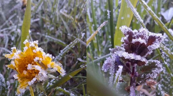 e cea mai rece zi de 1 mai din istoria masuratorilor in romania cum a dus blocajul atmosferic omega la recorduri termice minime