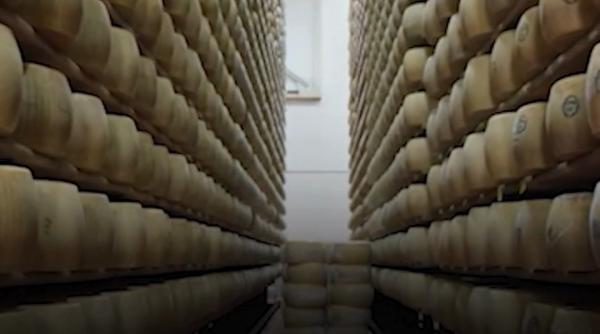 imperiul branzei din italia 500 000 de roti de parmigiano reggiano in valoare de 400 milioane de dolari