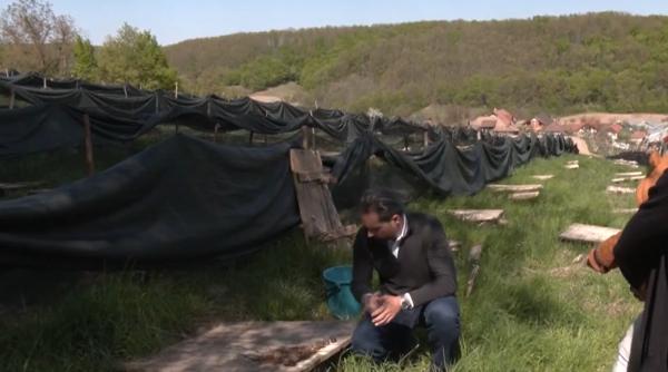 povestea de succes a familiei din bihor care produce aur lichid ferma deschisa cu un buget mic care aduce profit in viteza
