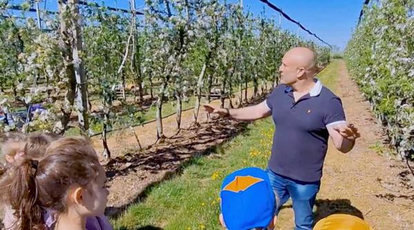 prima livada din romania unde pomii se adopta cine ingrijeste copacul primeste fructele recolta se trimite si prin curier