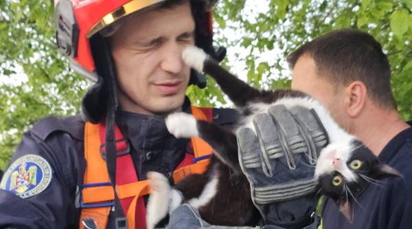 imagini adorabile cu o pisica dupa ce tocmai a fost salvata de pompieri dintr o fantana in vaslui au coborat 7 metri dupa ea