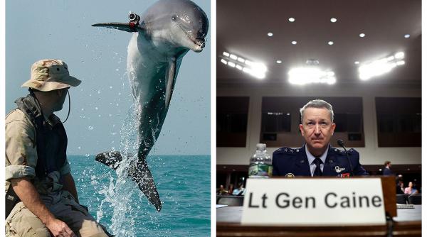 au antrenat iranieni delfini kamikaze reactia comica a sefului armatei sua adica ceva de genul rechinilor cu raze laser