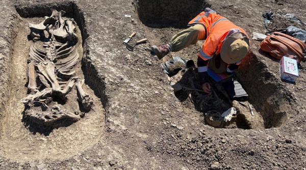 descoperire spectaculoasa pe santierul centurii de vest a timisoarei un razboinic ingropat cu tot cu calul sau si obiecte pretioase