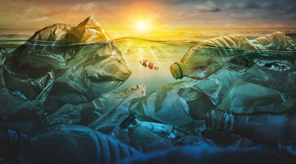 marea insula de gunoaie din pacific este un cosmar de plastic ar putea fi insa si parte dintr o problema mult mai mare ascunsa