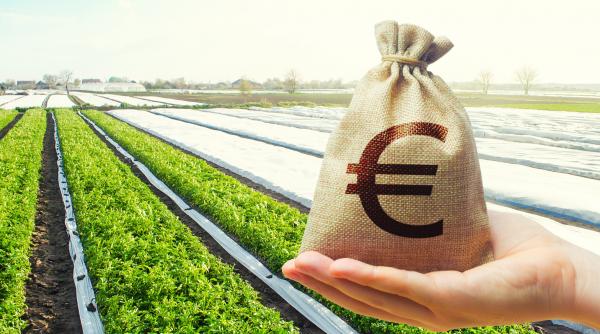 familia regala din eau a primit peste 71 de milioane de euro din subventii agricole europene o companie din romania aduce majoritatea