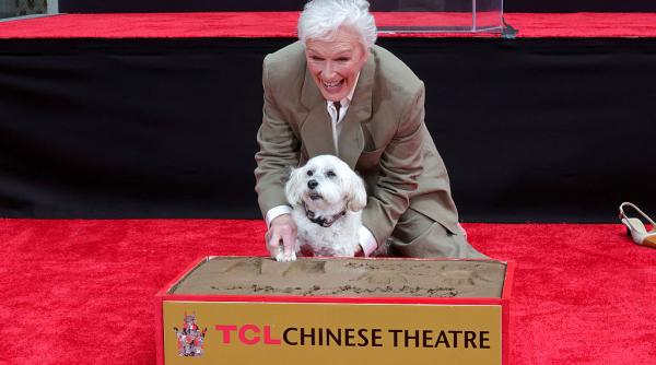 actrita glenn close si a lasat amprentele la teatrul chinez din hollywood impreuna cu pip cainele sau