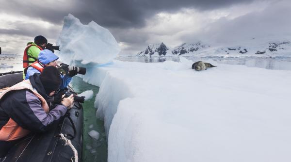 boomul turistic din antarctica e o amenintare pentru ecosistem poti lasa o urma de pas si e acolo si peste 50 de ani