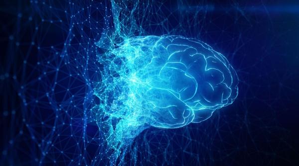 doar 10 minute cu ai si ti ai prajit creierul un studiu inter universitar a constatat o degradare generala a capacitatilor cognitive