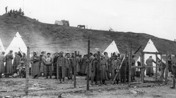 in cautarea soldatului tom misterul unui prizonier de razboi sovietic din al doilea razboi mondial a fost deslusit dupa 80 de ani