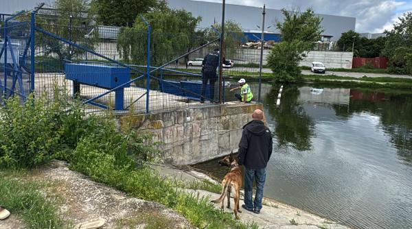 un adolescent s a inecat in lacul chitila langa bucuresti a sarit in apa sa salveze o fata desi nu stia sa inoate este resuscitat