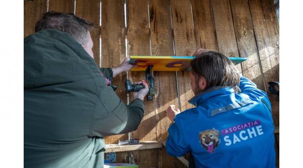 kaizen gaming angajatii au contribuit cu peste 960 de ore de voluntariat prin the collective in 9 piete internationale