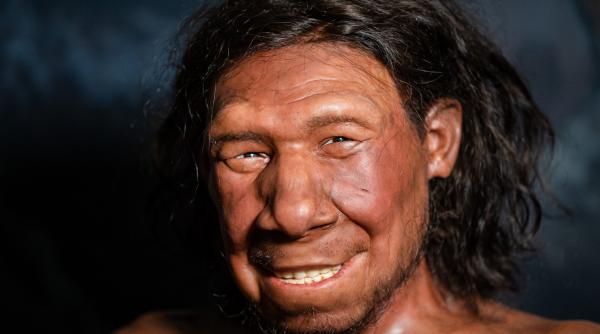 cum se tratau cariile acum 59 000 de ani descoperirea uimitoare facuta intr o pestera din siberia