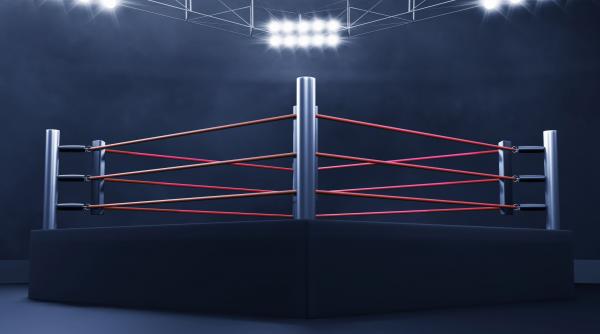 nunta atipica in china un cuplu a organizat ceremonia in ring de wrestling cine pierde face treburile casnice pe viata