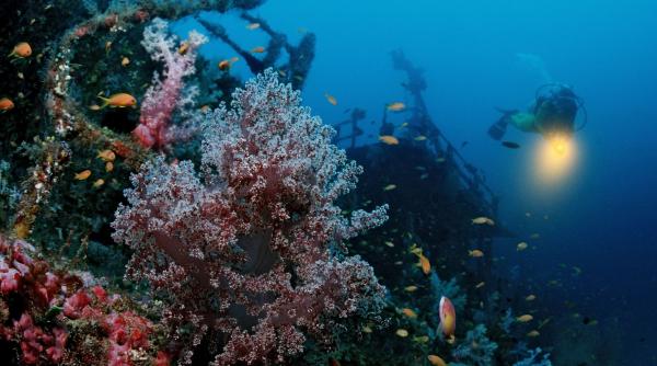 cadavrele scafandrilor italieni morti in maldive au fost gasite
