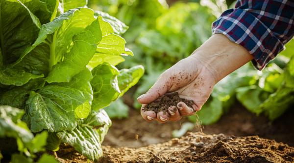 politico ue mizeaza pe balegarul de vaca pentru a tine preturile la alimente sub control