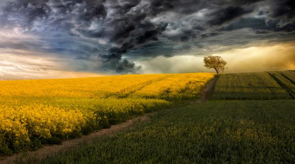 cum va fi vremea in urmatoarele 4 saptamani meteorologii anunta vreme calda si ploi putine dar si un episod de frig