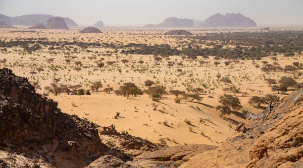 au tot plantat copaci in sahara si au esuat apoi au eliberat 500 de testoase iar desertul a inverzit vizibil chiar si din satelit