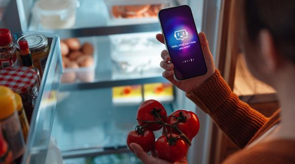 inteligenta artificiala a intrat pe lista obiceiurilor zilnice ale utilizatorilor romani de internet care este cel mai folosit chatbot