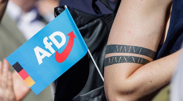 politico partidul german de extrema dreapta afd ar putea fi interzis in uniunea europeana