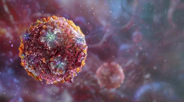 un virus tropical care provoaca epidemii se extinde spre europa care sunt simptomele infectiei cu chikungunya