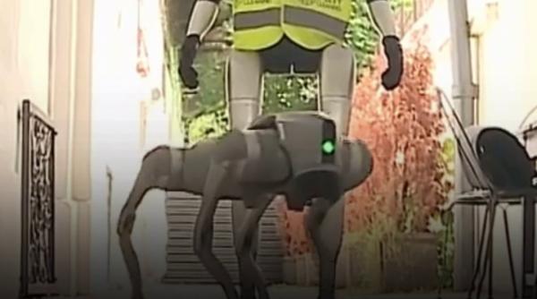 În Târgu Mureș patrulează roboți umanoizi și patrupezi pe străzi: „Agenții” cu AI fac curățenie și „vorbesc” cu locuitorii 
