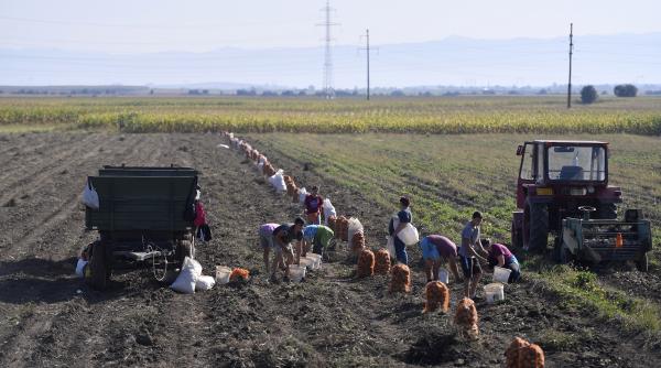 „Generația Pierdută”. Ratarea are acum un nou nume: „NEETs” - tineri fără job și educație. Iar România e campioana UE la acest capitol
