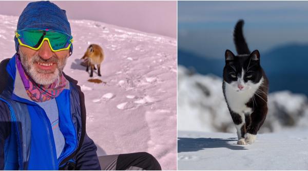 omul de pe omu povestea meteorologului care traieste la peste 2 500 de metri cu pisica rodica si vulpea foxy