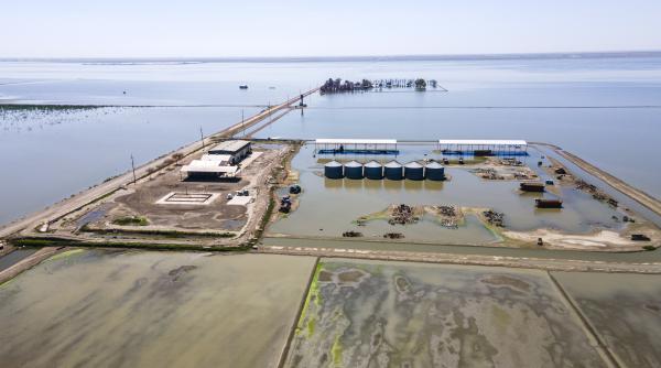 lacul fantoma din sua a reaparut brusc dupa 130 de ani a inghitit zeci de mii de hectare de teren dar acum se evapora din nou