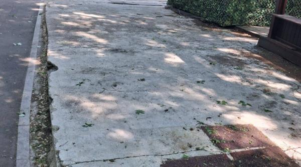 primaria bucuresti a publicat imagini cu un spatiu din parcul cismigiu pe care l a reamenajat nu puteam tine zona in paragina