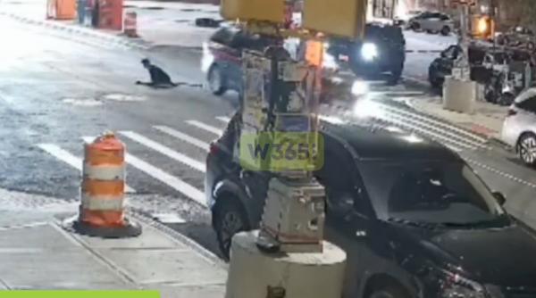 misterul oamenilor care ies din canalizarile new yorkului imaginile care au dus la o ancheta a politiei si au declansat teorii bizare