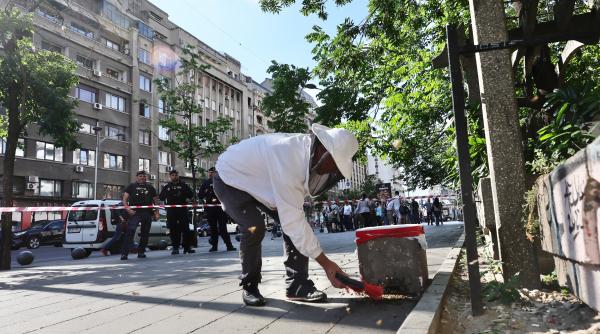 un apicultor captureaza un roi de albine de pe trotuar la piata romana din bucuresti imagini cu interventia de pe artera aglomerata