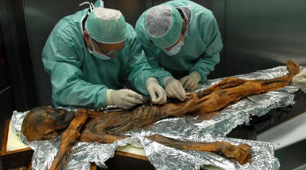 s au descoperit superdrojdii rezistente la frig in microbiomul mumiei otzi cercetatorii au reconstituit meniul omului ghetarilor