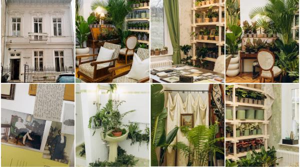 o vila istorica din bucuresti cu o poveste fascinanta e virala dupa ce a fost umpluta cu peste 1 000 de ghivece cum arata casa plant