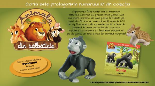 descoperiti impresionanta gorila numarul 18 din animale din salbaticie la chioscuri din 9 iunie