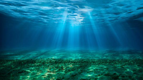 in toate oceanele lumii dar si in marea mediterana au fost descoperite genele rezistente la antibiotice