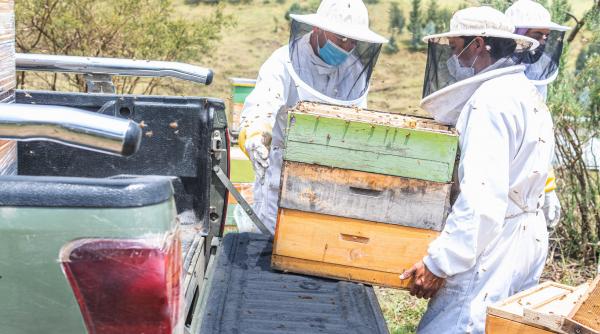 o noua categorie de masini va fi scutita de impozit legea intra la votul final