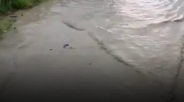 Prăpăd după furtunile din estul țării. Noi avertizări meteo 