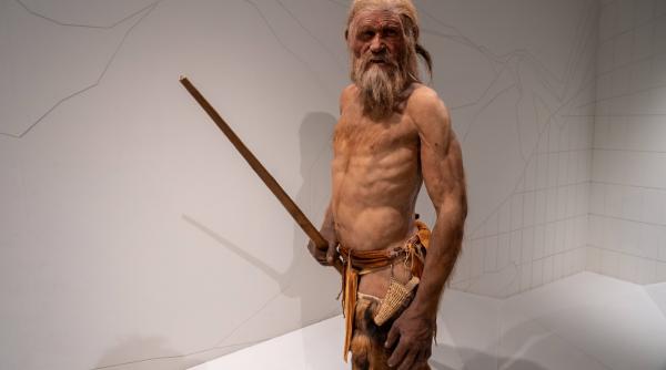 ceva a supravietuit in otzi omul gheturilor desi acesta a murit de 5300 de ani cercetatorii sunt uluiti