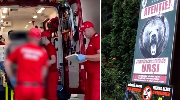 trei turisti straini au fost atacati de urs pe transfagarasan au vrut sa l hraneasca si sa isi faca un selfie cu el