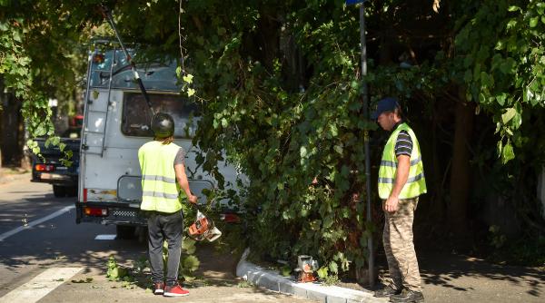 Străzile din Sectorul 1 vor fi curățate de un nou operator de ...