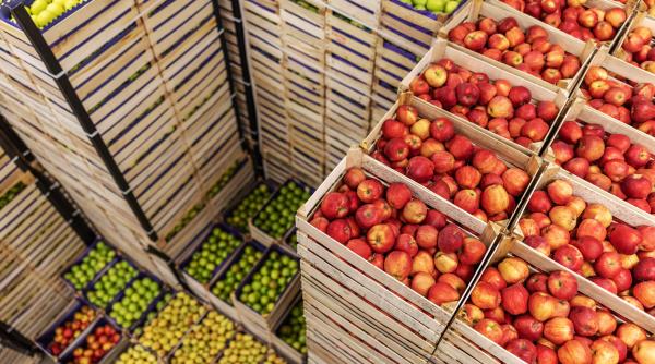 alimente din teritoriile ocupate din cisiordania ajung in europa deghizate ca fiind israeliene