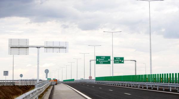 ce rol au lamelele verzi de pe marginea autostrazii multi soferi le vad zilnic fara sa stie la ce folosesc