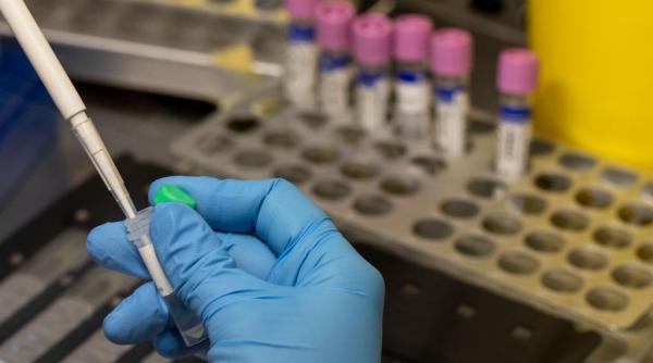 europa se pregateste sa aprobe noi organisme modificate genetic omg protestele au inceput deja